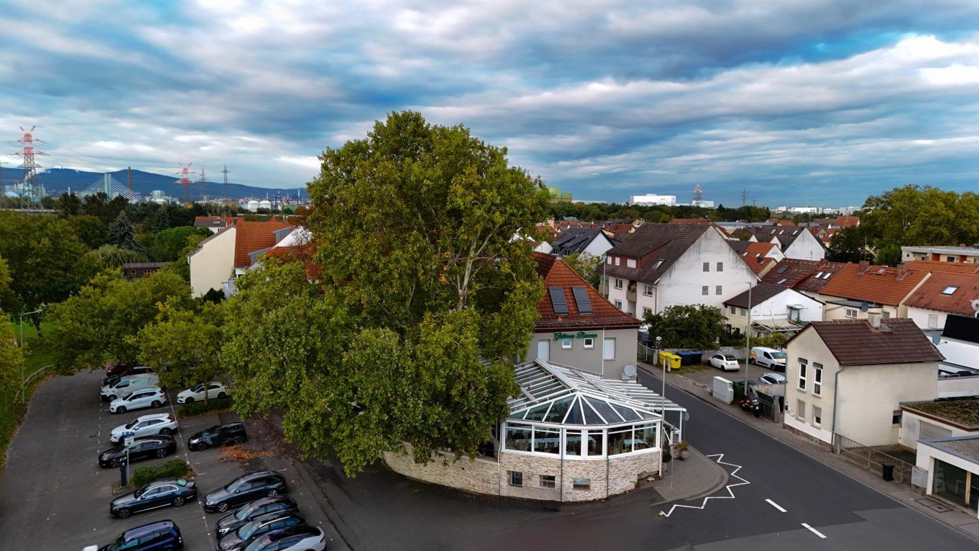 Zum Gruenen Baum Hotel Frankfurt Airport Kelsterbach Exterior photo